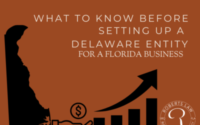 What to know before setting up a Delaware entity for a Florida Business