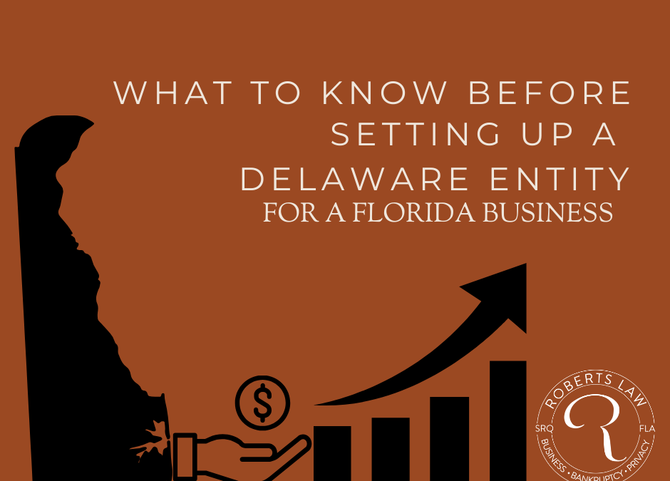 What to know before setting up a Delaware entity for a Florida Business